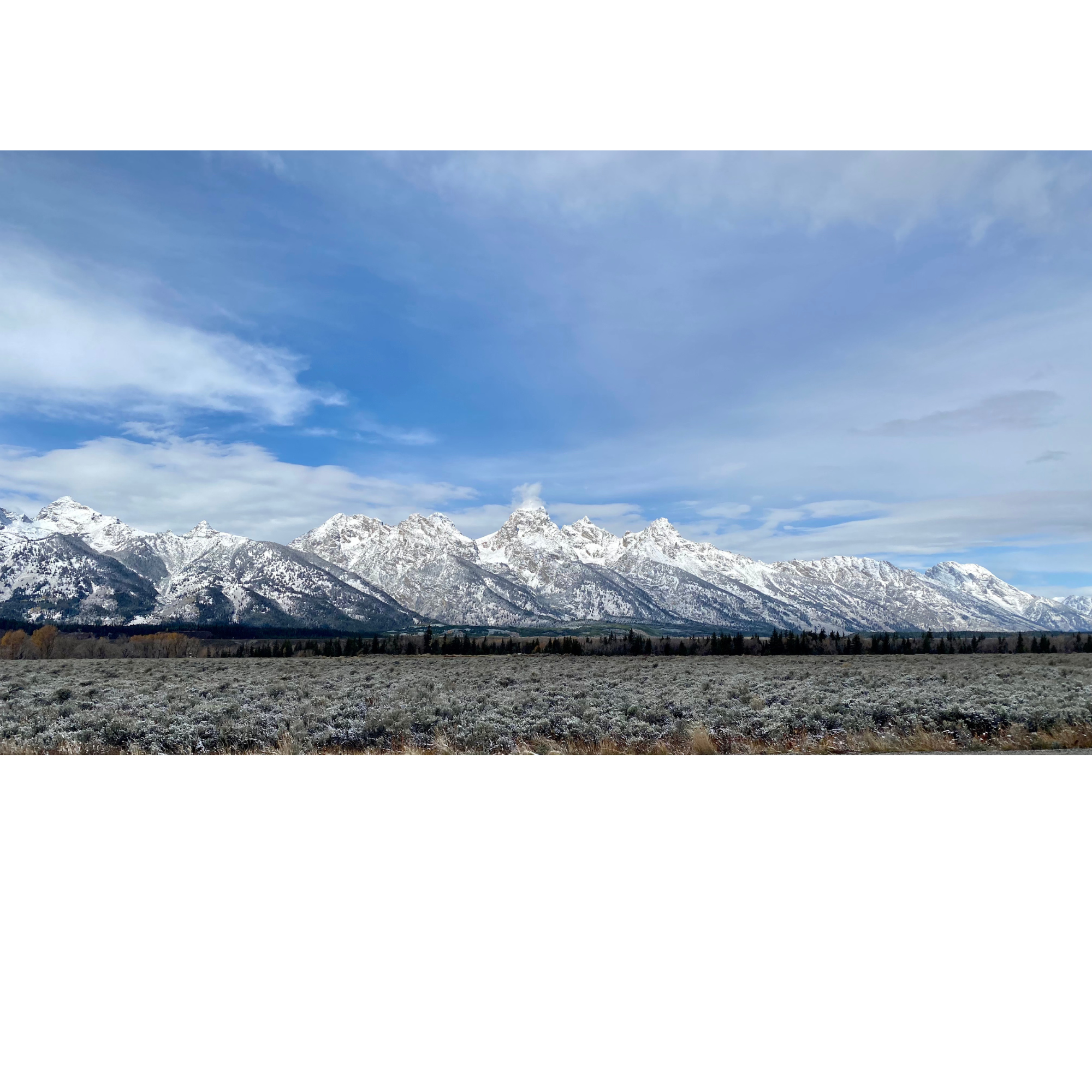 The Jackson Hole Collection