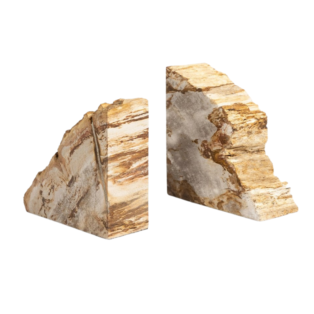 FOUR HANDS PETRIFIED WOOD BOOK ENDS LIGHT