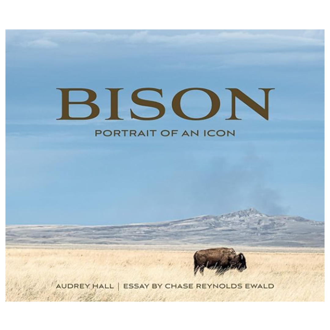 GIBBS SMITH Bison Portrait Of An Icon By Chase Reynolds Ewald Default Title