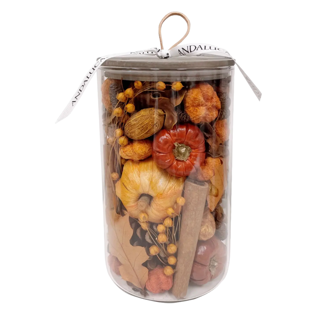 ANDALUCA Pumpkin Spice Potpouri Jar