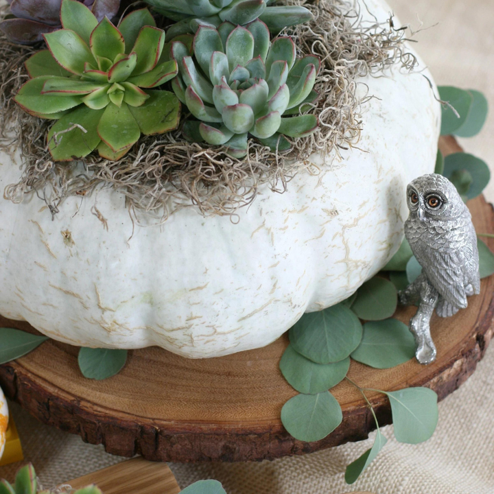 VAGABOND HOUSE Owl Cheese Stand