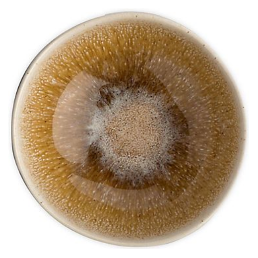 CARMEL CERAMICA POINT LOBOS SMALL BOWL