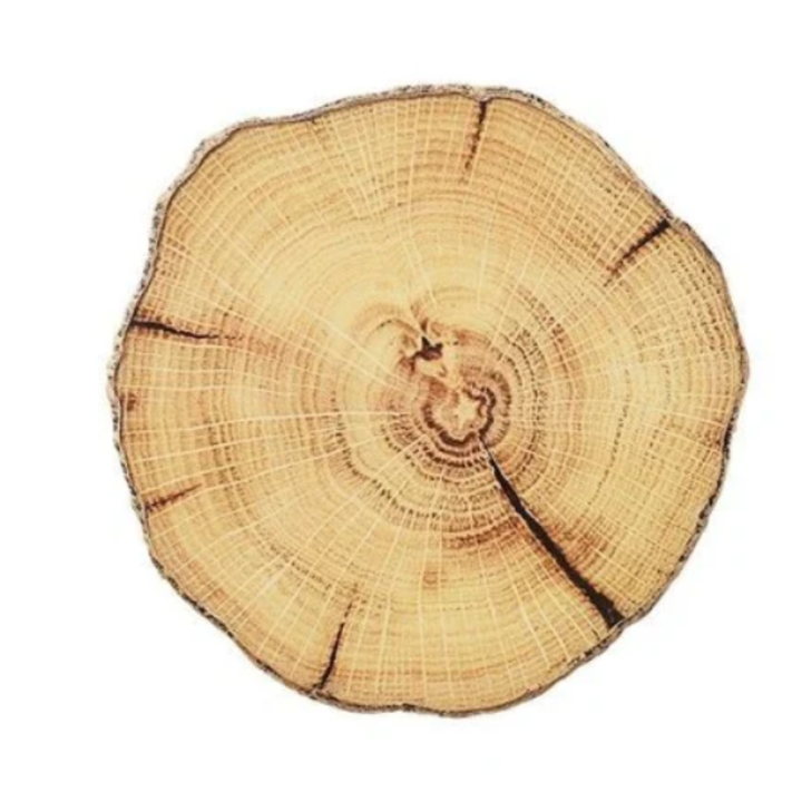 KIM SEYBERT Woodland Coaster Sold Individually