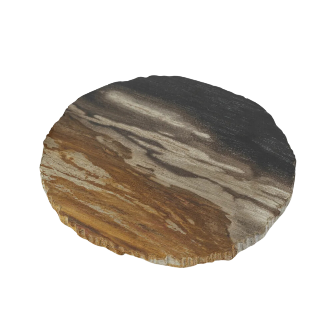 ZODAX Individually Sold Curio Bay Petrified Wood Coaster