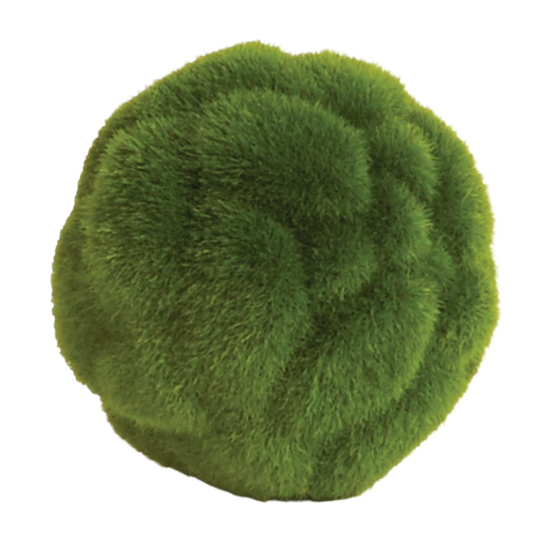 NAPA HOME & GARDEN Mood Moss Orb Default Title