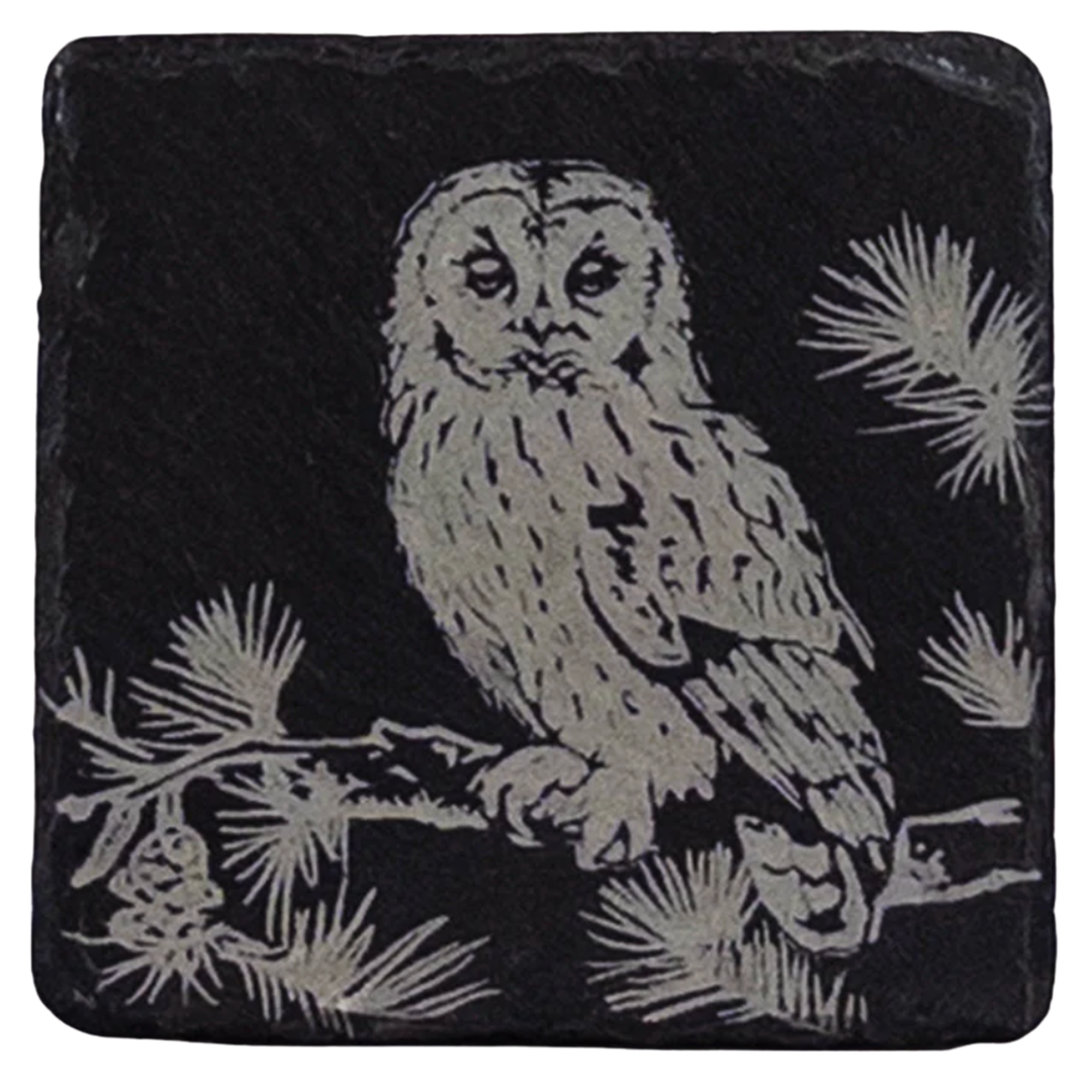 Slate Tawny Owl Coasters