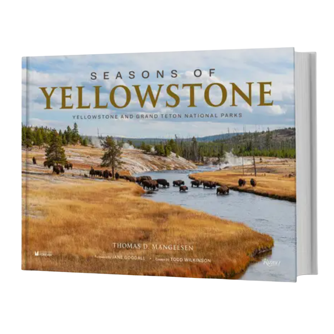 PENGUIN RANDOM HOUSE Seasons Of Yellowstone Default Title