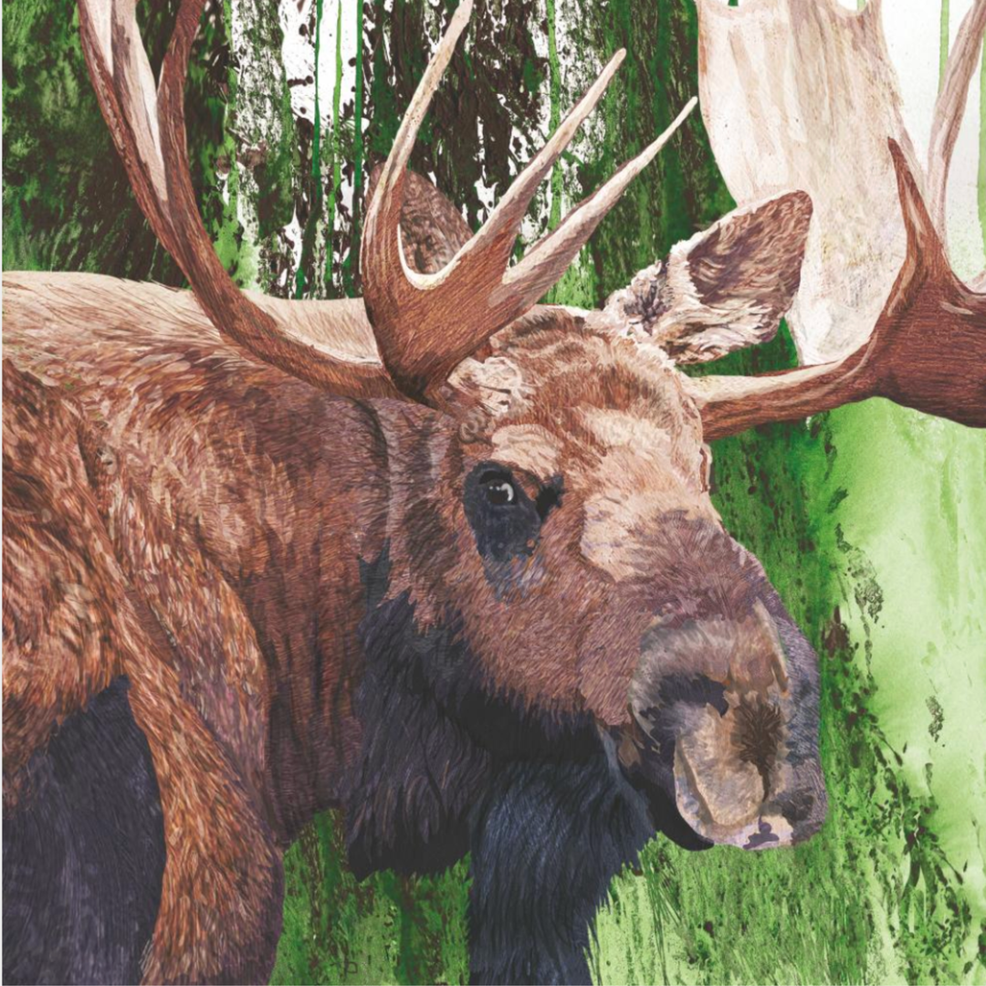PAPERPRODUCTS Moose In Evergreens Luncheon Napkins Default Title
