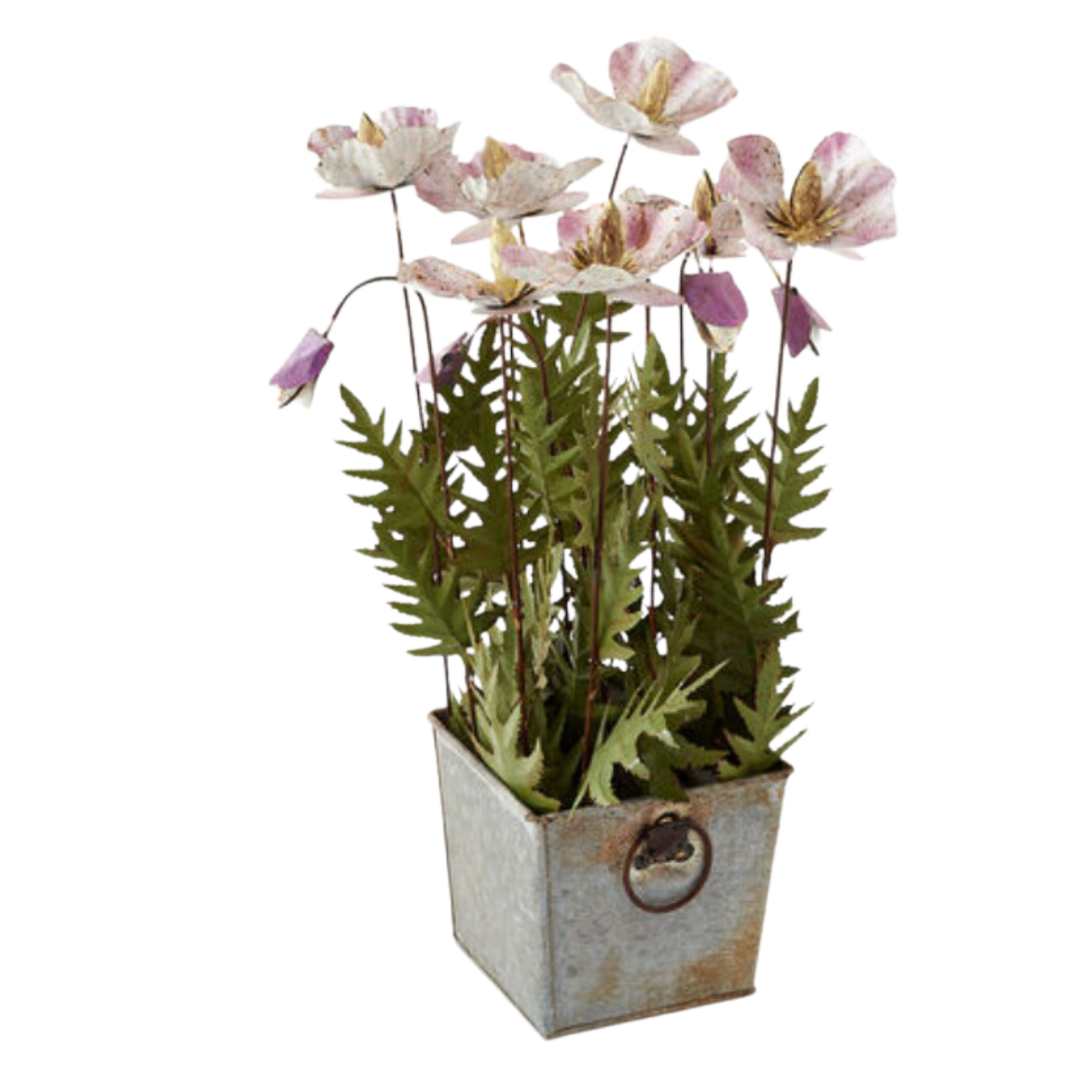 180 DEGREES Potted Poppy Floral Arrangements Default Title
