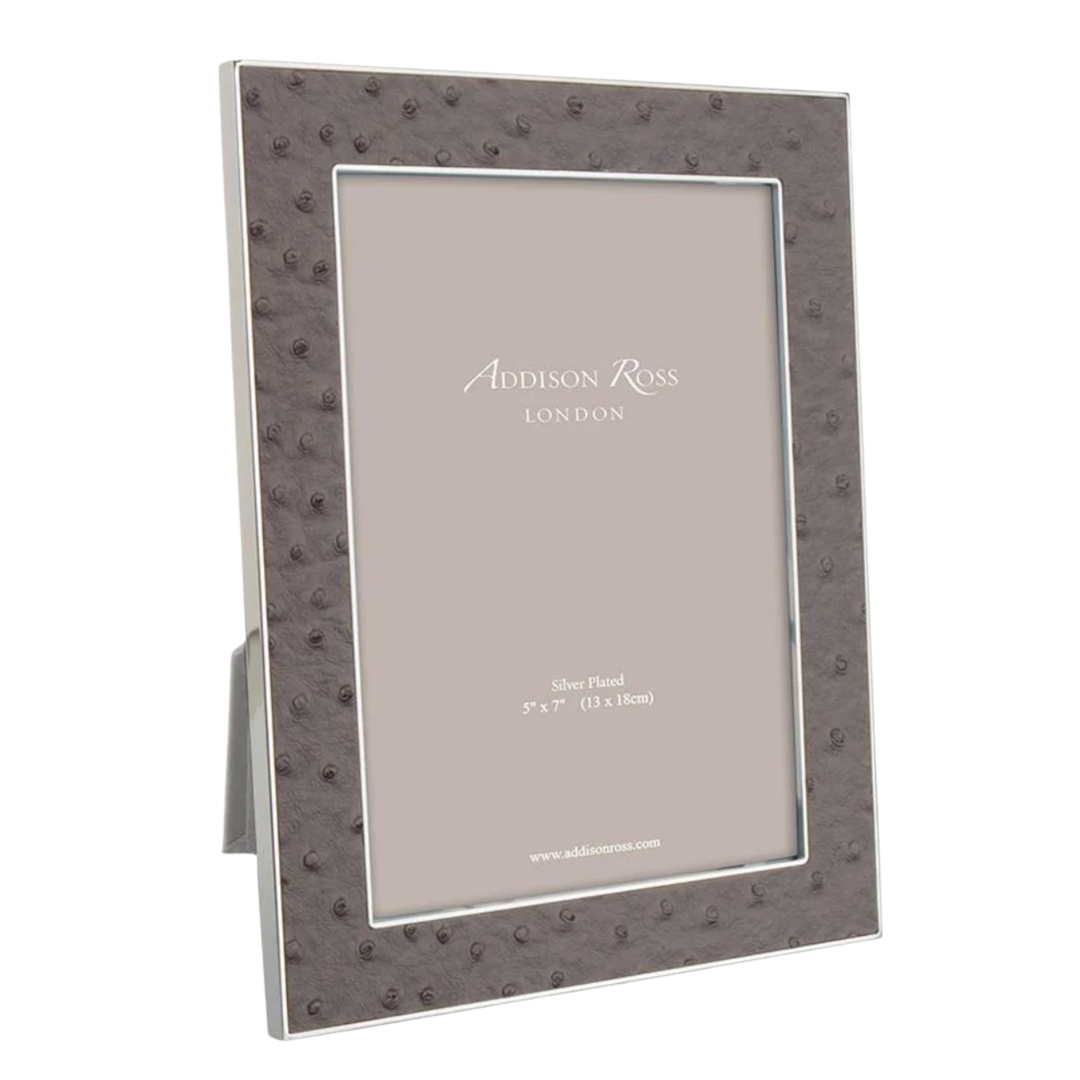 ADDISON ROSS Ostrich Urban Silver Frame 5" X 7" Default Title