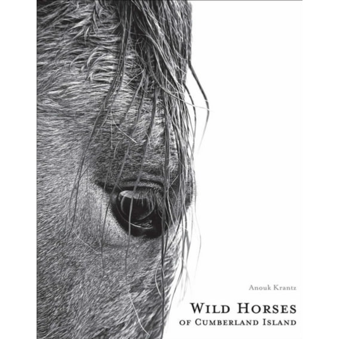 IMAGES PUBLISHING Wild Horses Of Cumberland Island Default Title