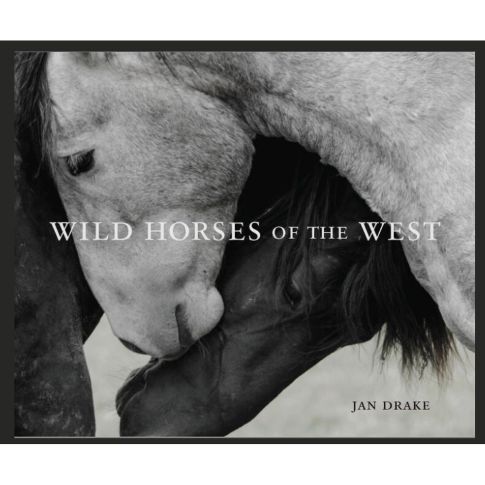 GIBBS SMITH Wid Horses Of The WestI Default Title