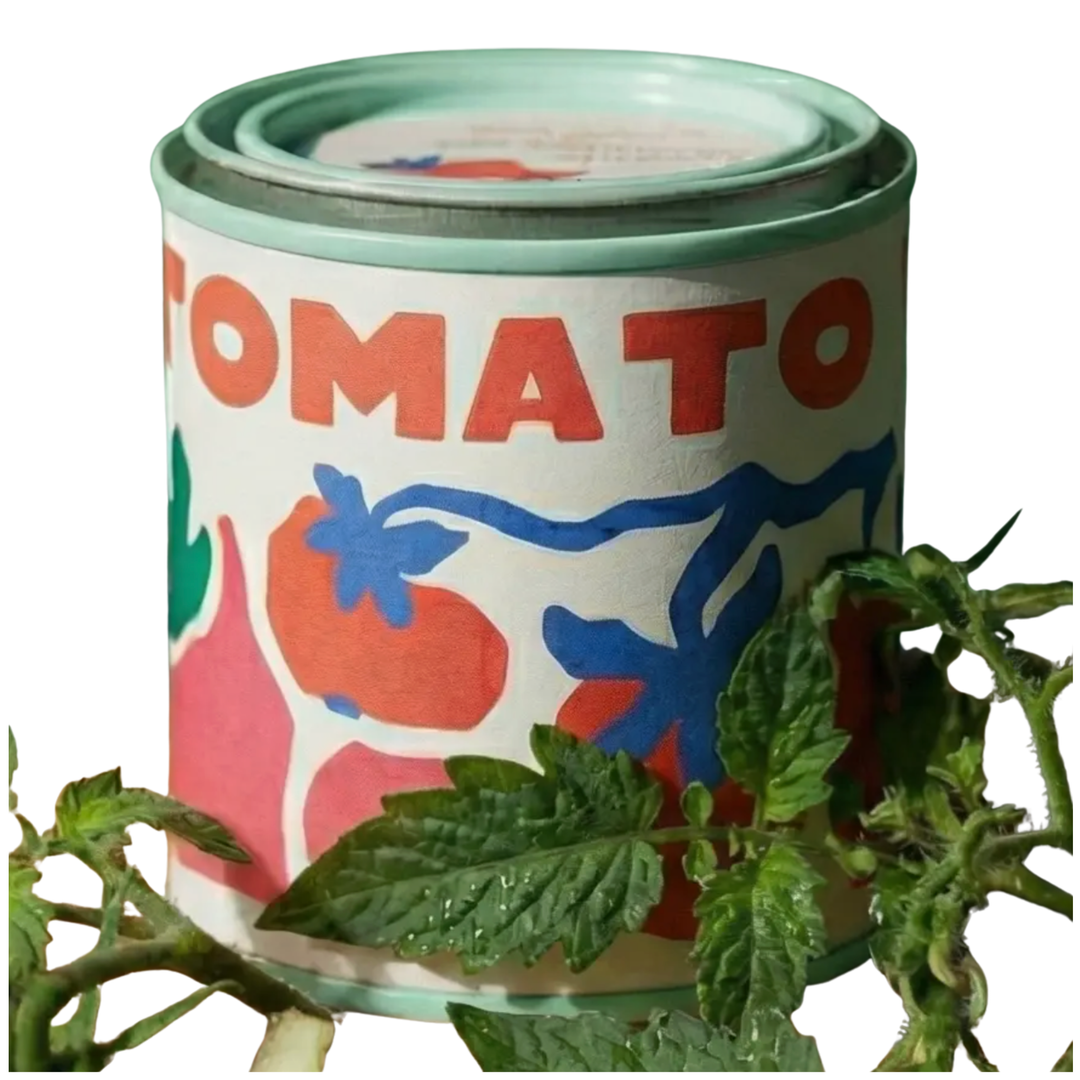 Rewined Market Fig & Tomato Tin Candle Default Title
