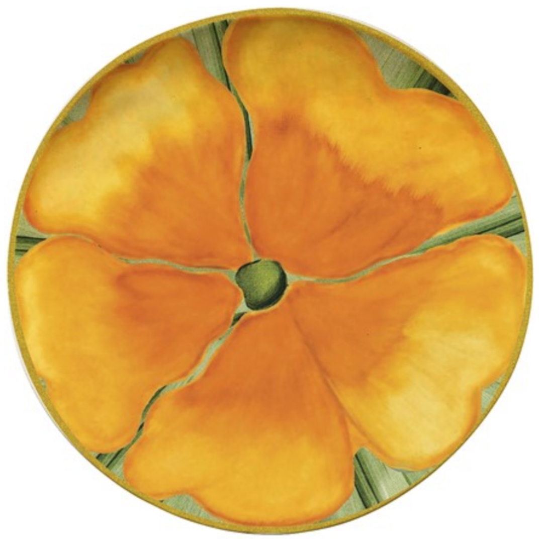 MERRITT Botanic Garden Orange Melamine Salad Plate