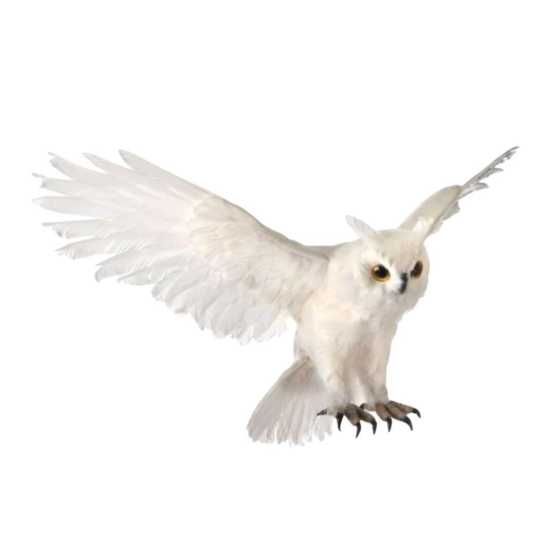 REGENCY Flying Feather White Own Default Title