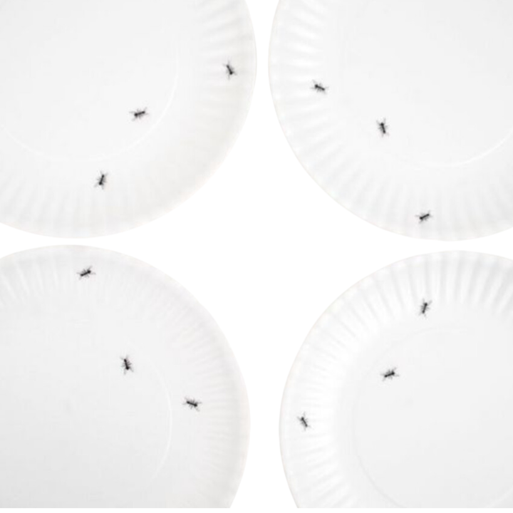 180 DEGREES Melamine Ants Plate