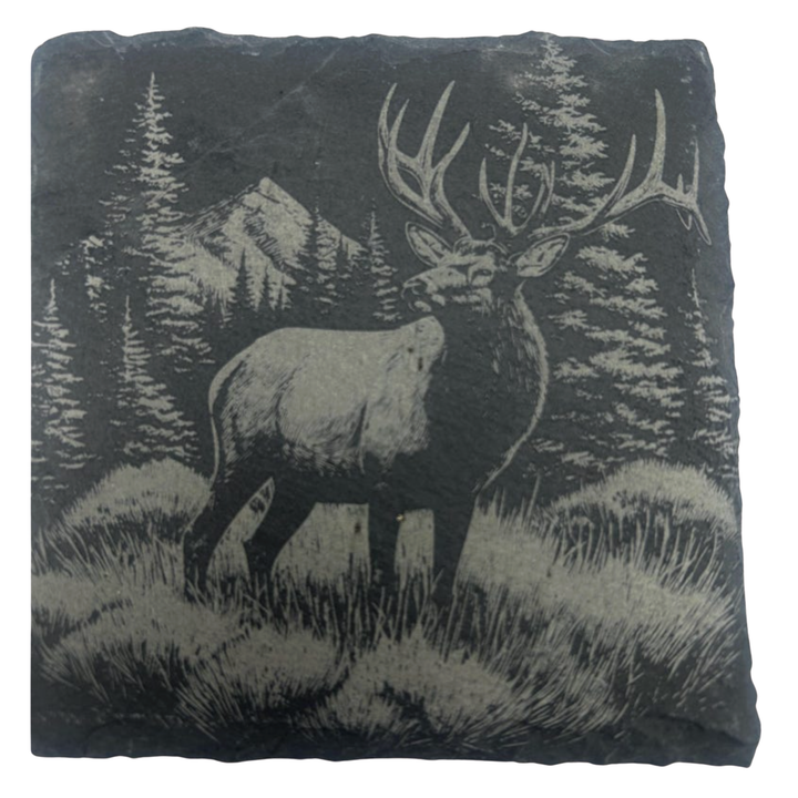 CLOUD PEAKS Individually Sold Wildlife Coasters