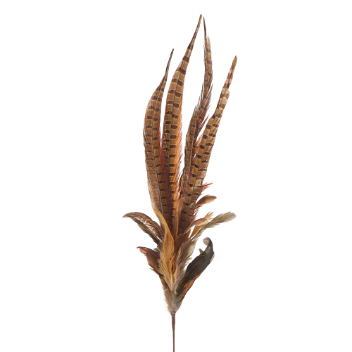 RAZ IMPORTS Mixed Feather Spray Default Title