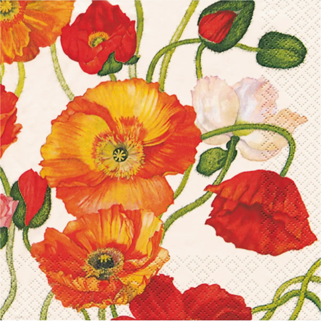 BOSTON INTERNATIONAL Paper Cocktail Napkins Pack of 20 Poppies White Default Title