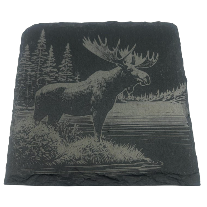 CLOUD PEAKS Individually Sold Wildlife Coasters
