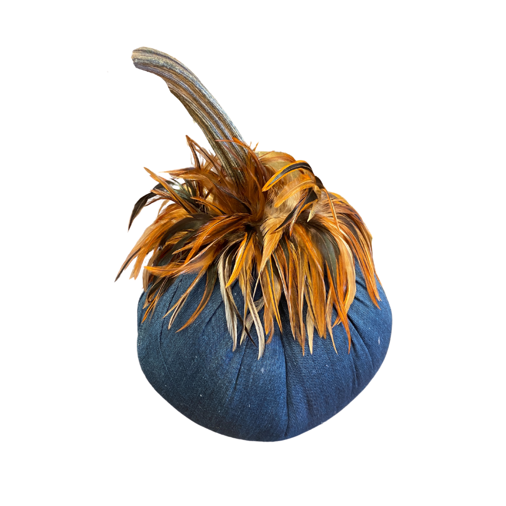 HOT SKWASH JUNIOR JUMBO PUMPKIN WITH FEATHER COLLAR Default Title