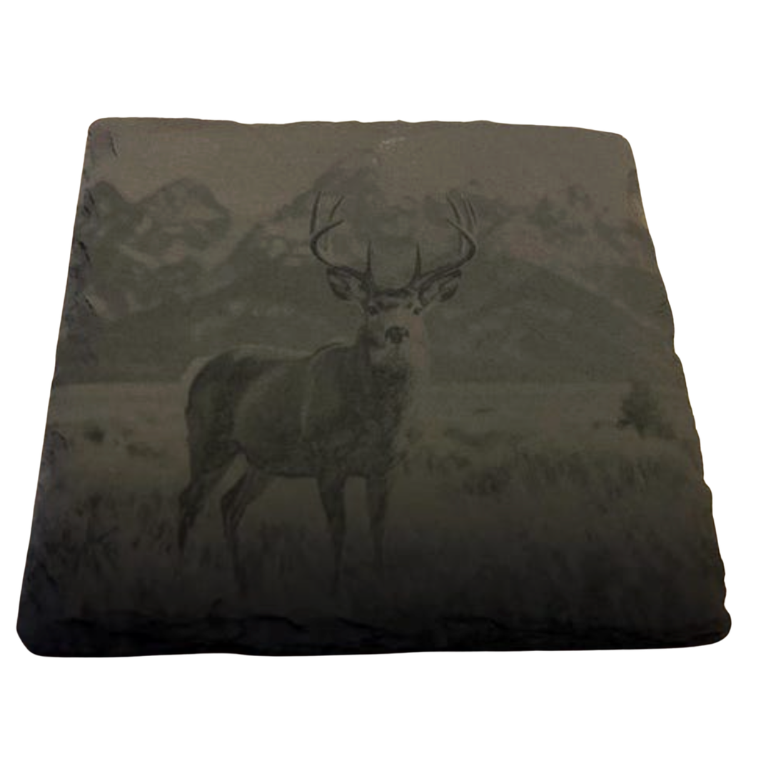 CLOUD PEAKS CLOUD PEAK WILDLIFE SLATE LAZEER ENGRAVED COASTERS