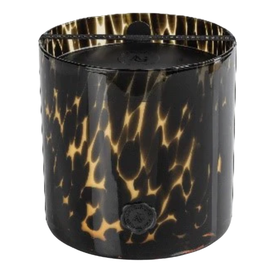 ZODAX Cedar Leaf And Hinoki Cypress AG Opal 5 Wick Candle Default Title