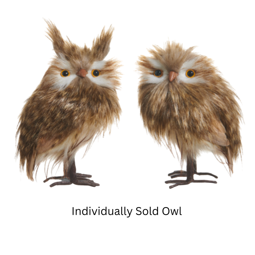 RAZ IMPORTS Individually Sold Owl Default Title