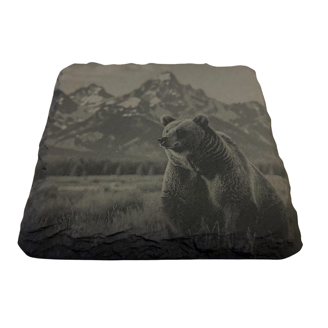 CLOUD PEAKS CLOUD PEAK WILDLIFE SLATE LAZEER ENGRAVED COASTERS