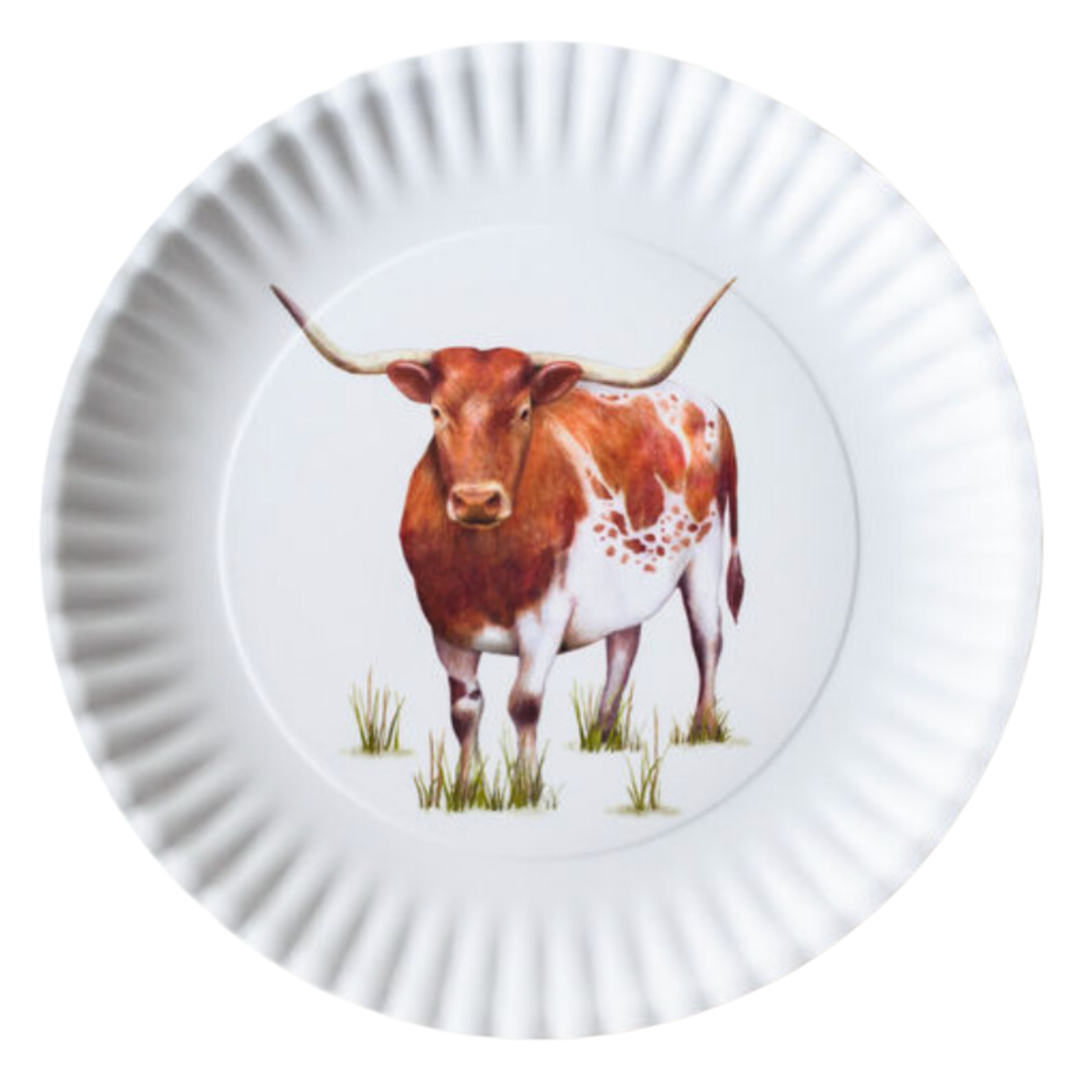 180 DEGREES Longhorn Melamine Platter