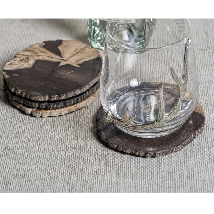 ZODAX Individually Sold Curio Bay Petrified Wood Coaster