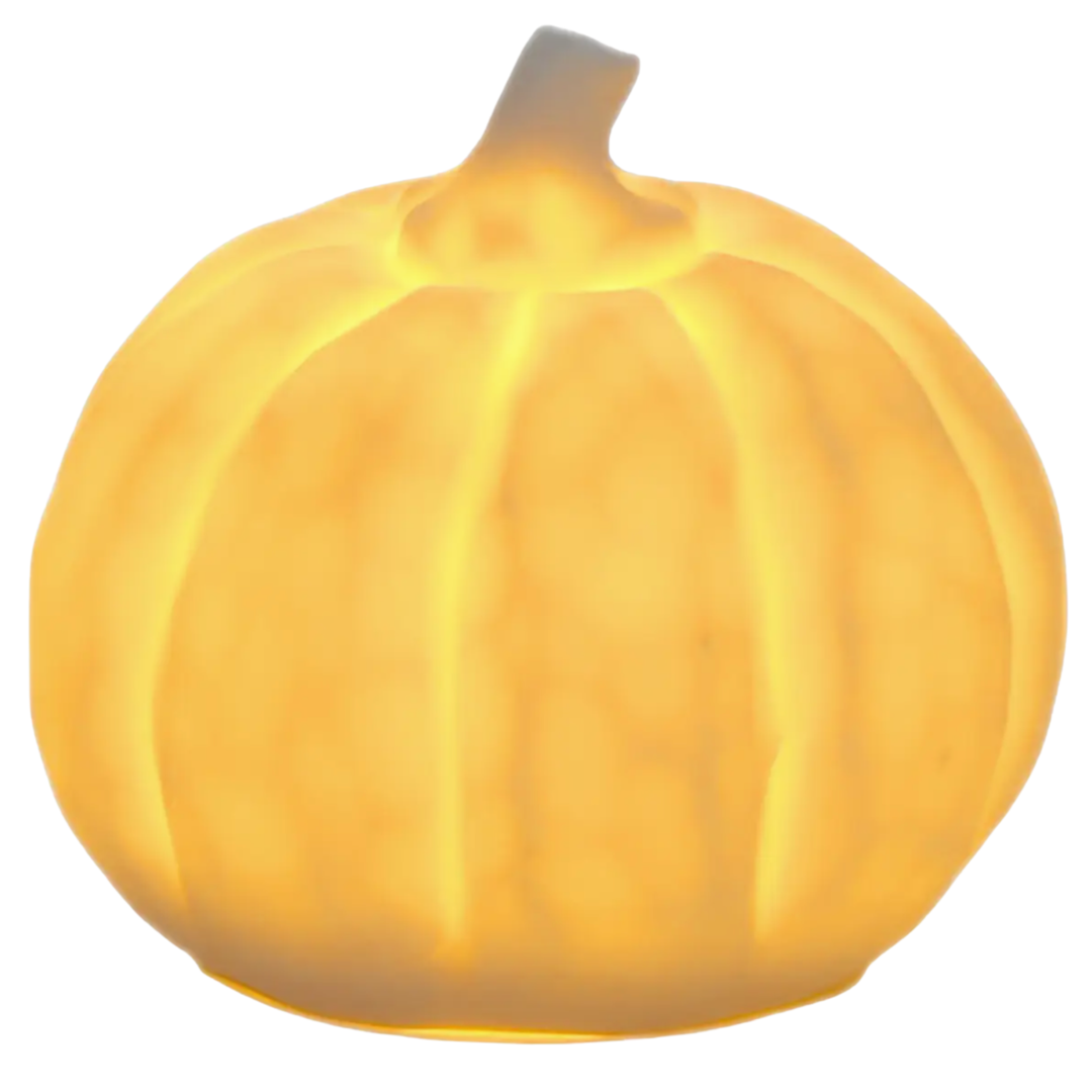 BOSTON INTERNATIONAL White LED Pumpkin Default Title