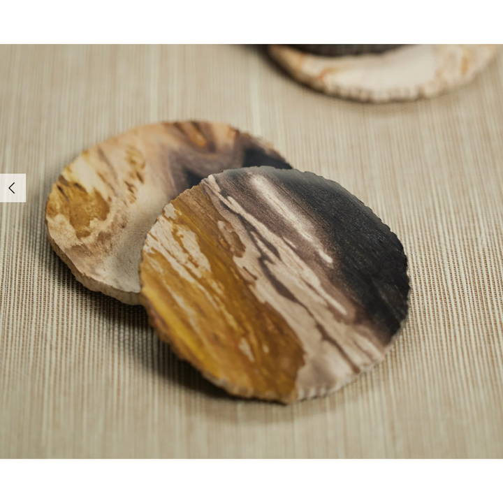 ZODAX Individually Sold Curio Bay Petrified Wood Coaster