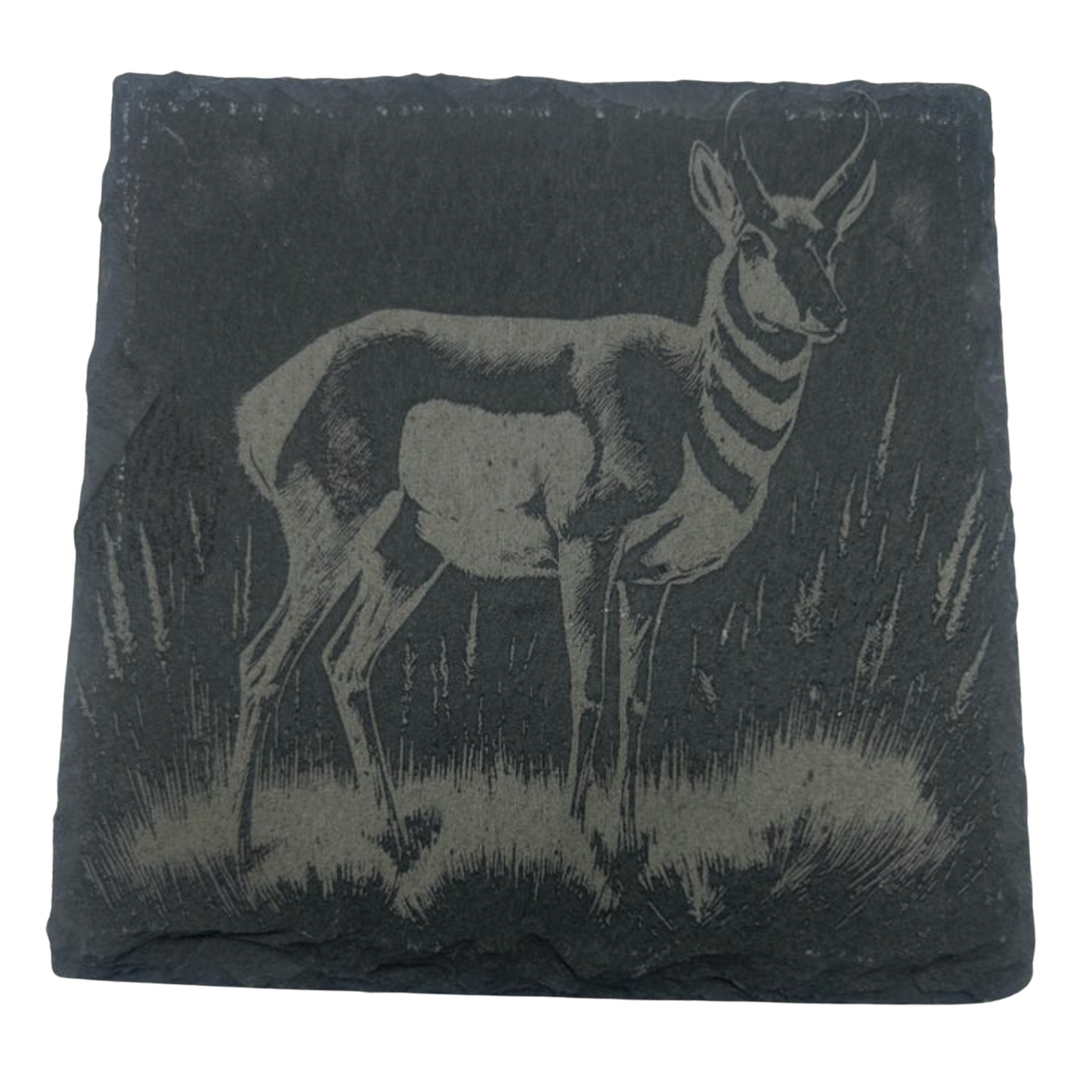 CLOUD PEAKS Individually Sold Wildlife Coasters