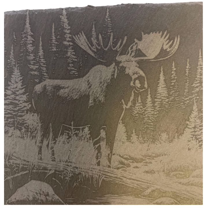 CLOUD PEAKS Individually Sold Wildlife Coasters