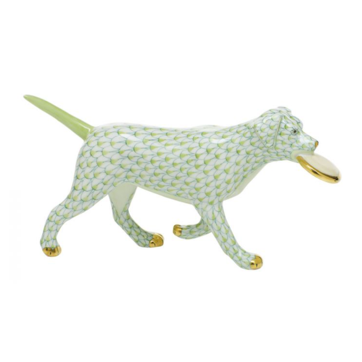 Frisbee Dog KEYLIME
