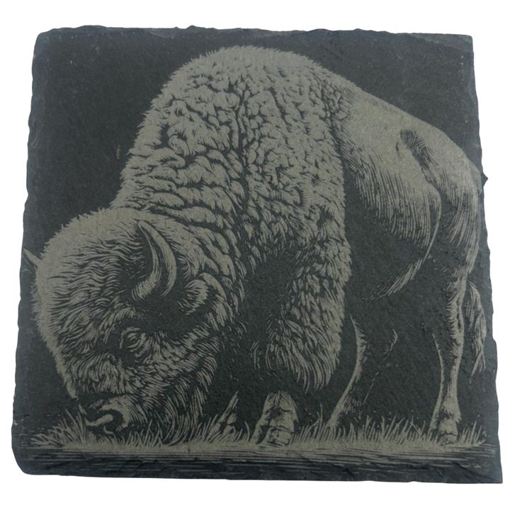 CLOUD PEAKS Individually Sold Wildlife Coasters