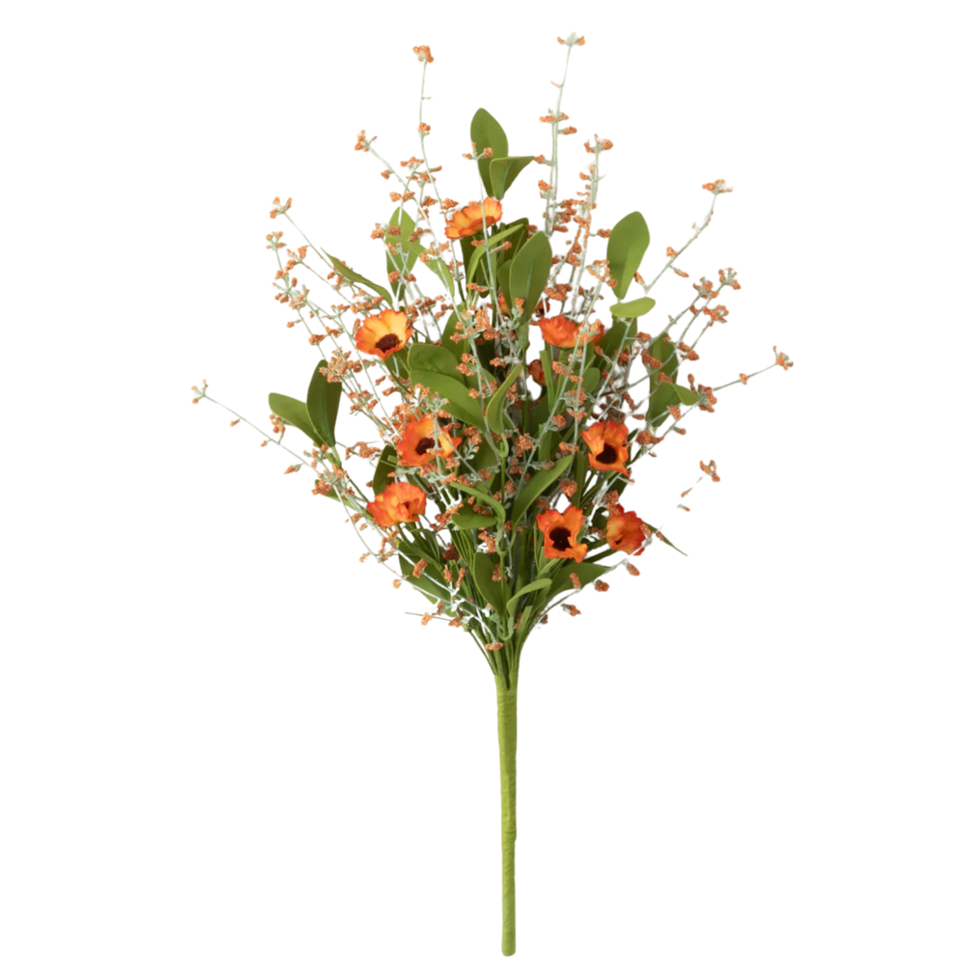 SULLIVANS Orange Wispy Daisy Bush Default Title