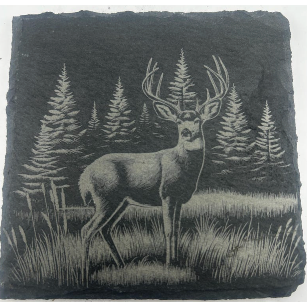 CLOUD PEAKS Individually Sold Wildlife Coasters