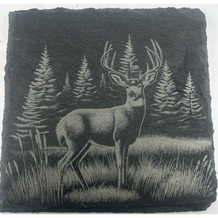 CLOUD PEAKS Individually Sold Wildlife Coasters