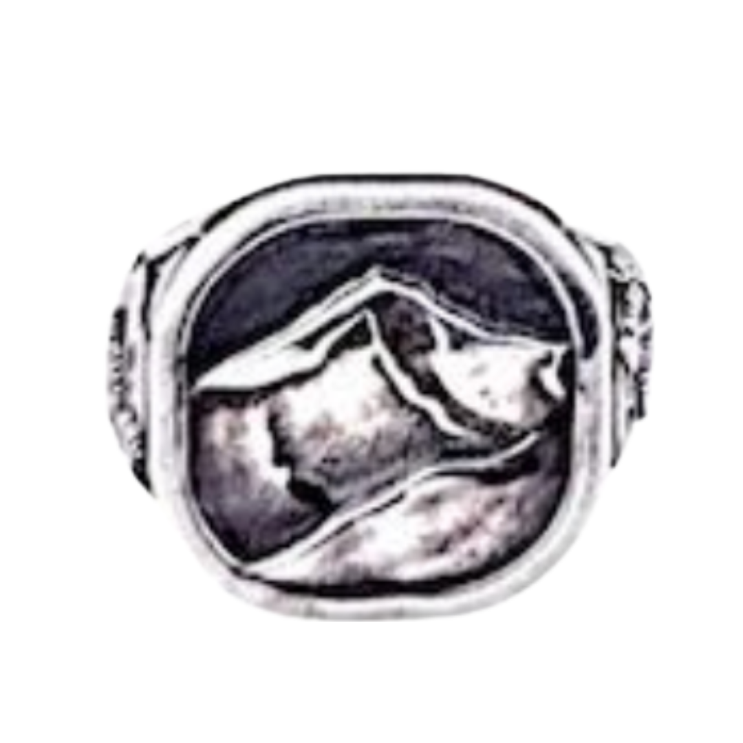 ARI O Oxidized Sterling Silver Long Peak Ring Default Title