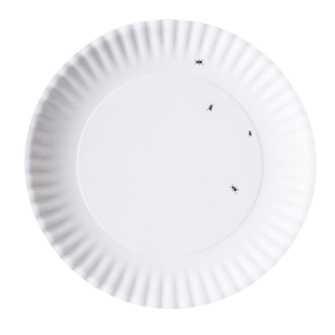 180 DEGREES Melamine White Platter With Decorative Ants Default Title
