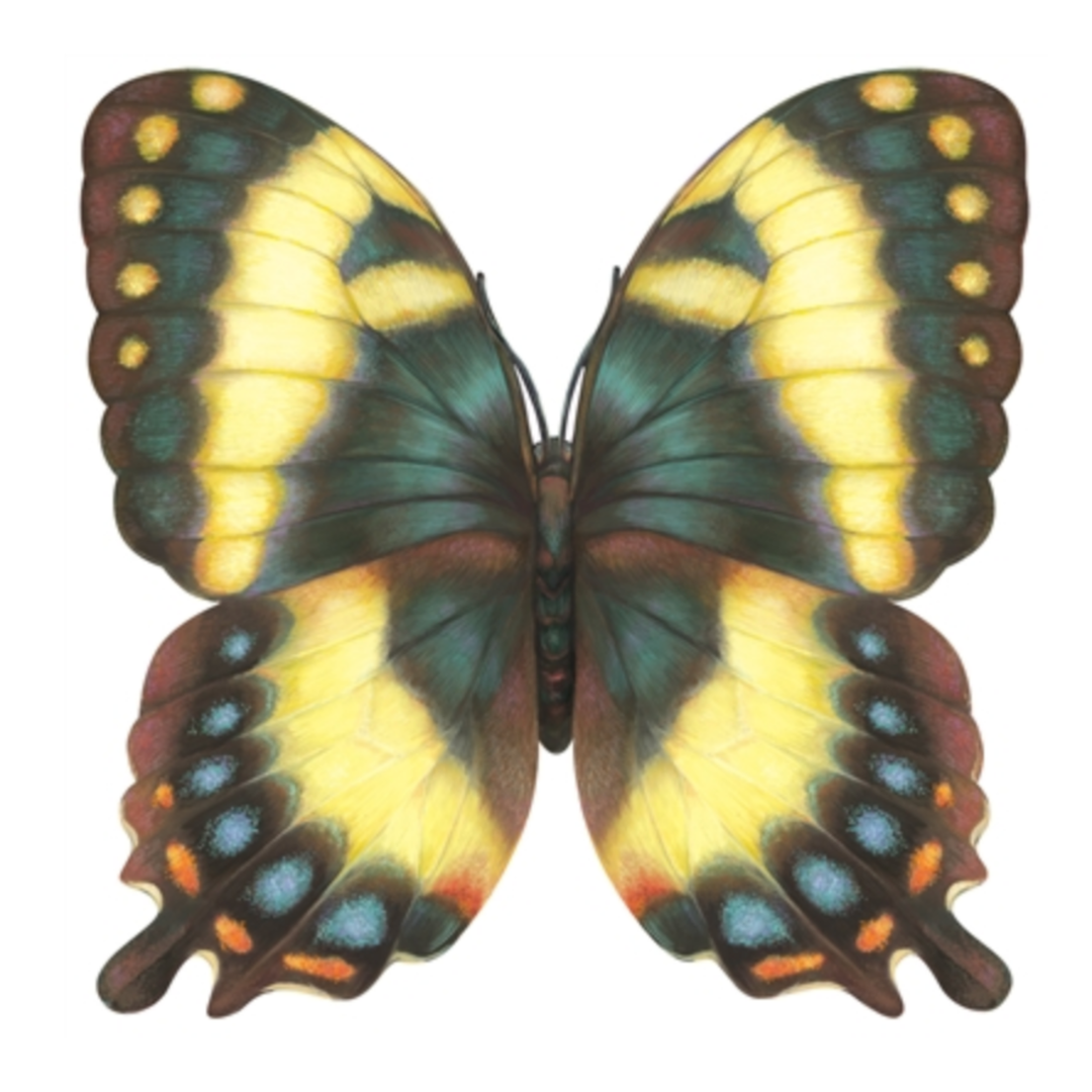 HESTER & COOK Butterfly Die Cut Placemat Sheets Default Title