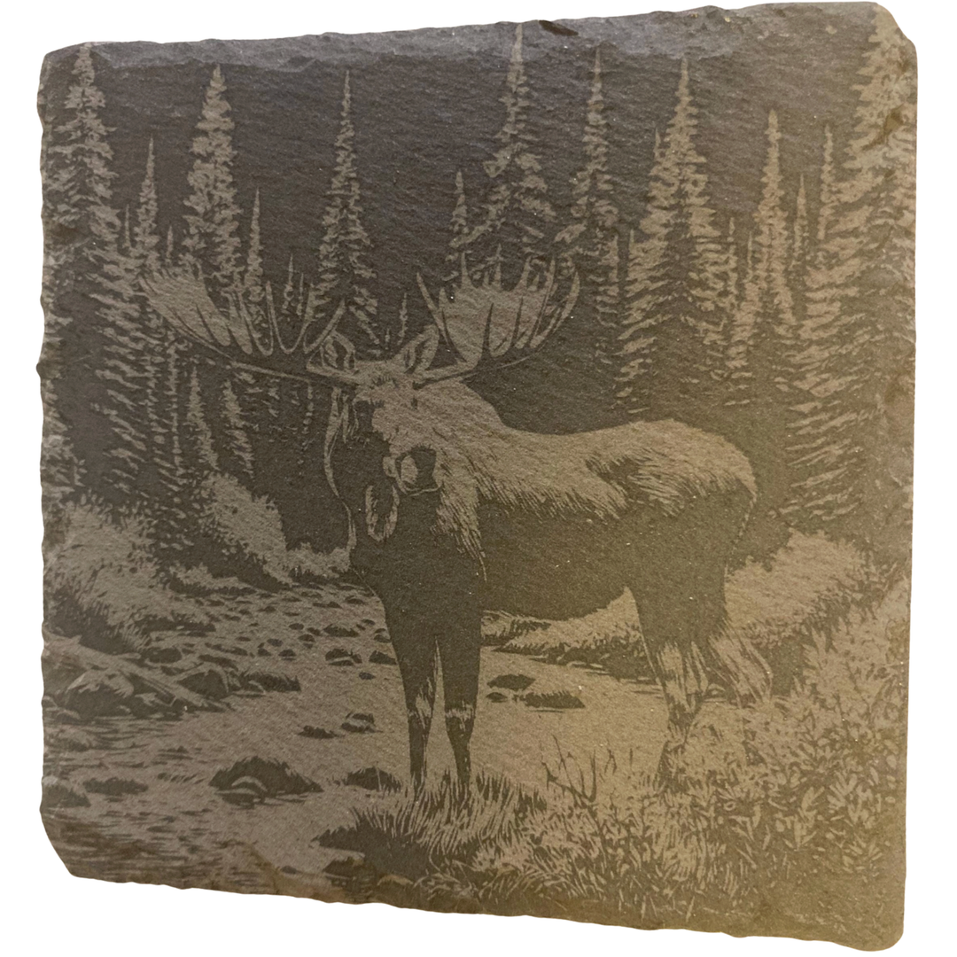 CLOUD PEAKS Individually Sold Wildlife Coasters