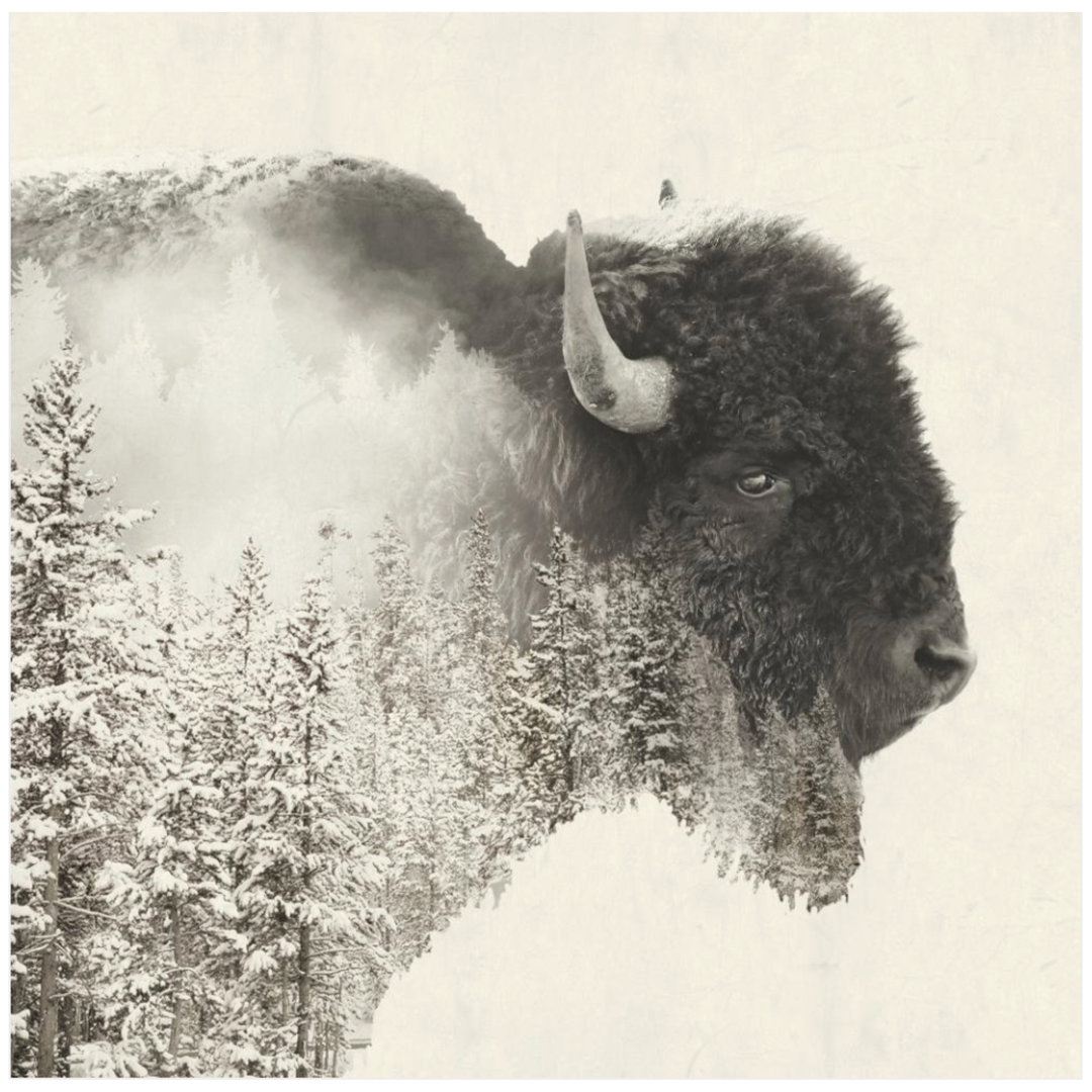 Majestic Buffalo Lunch Napkins