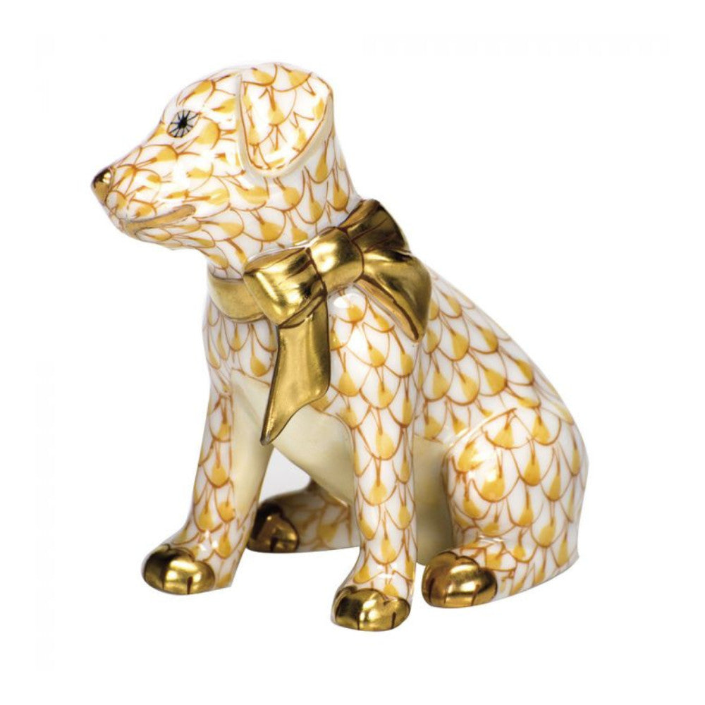 Doggie Dazzle Butterscotch