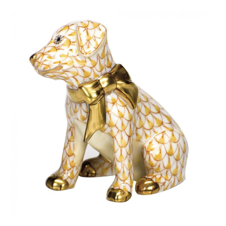 Doggie Dazzle Butterscotch