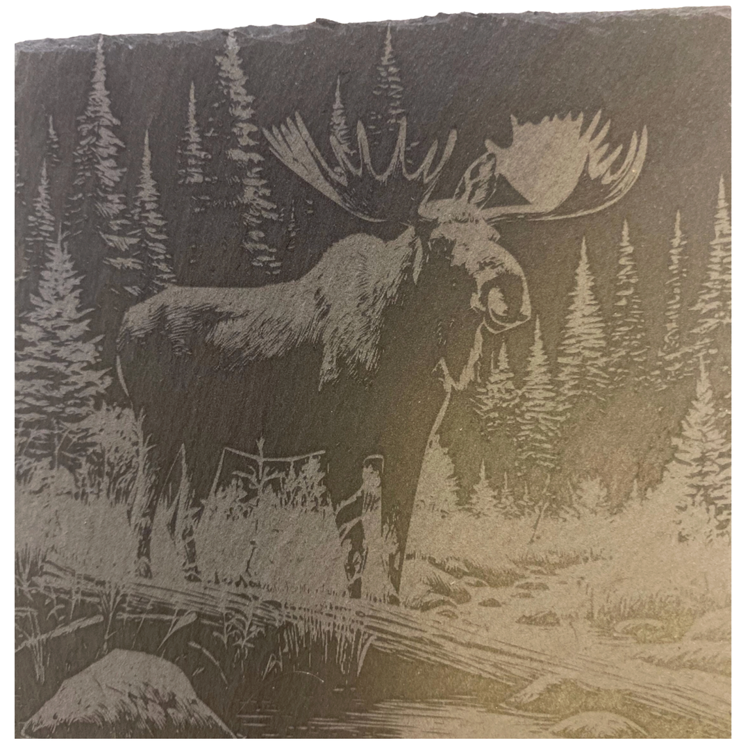 CLOUD PEAKS Individually Sold Wildlife Coasters