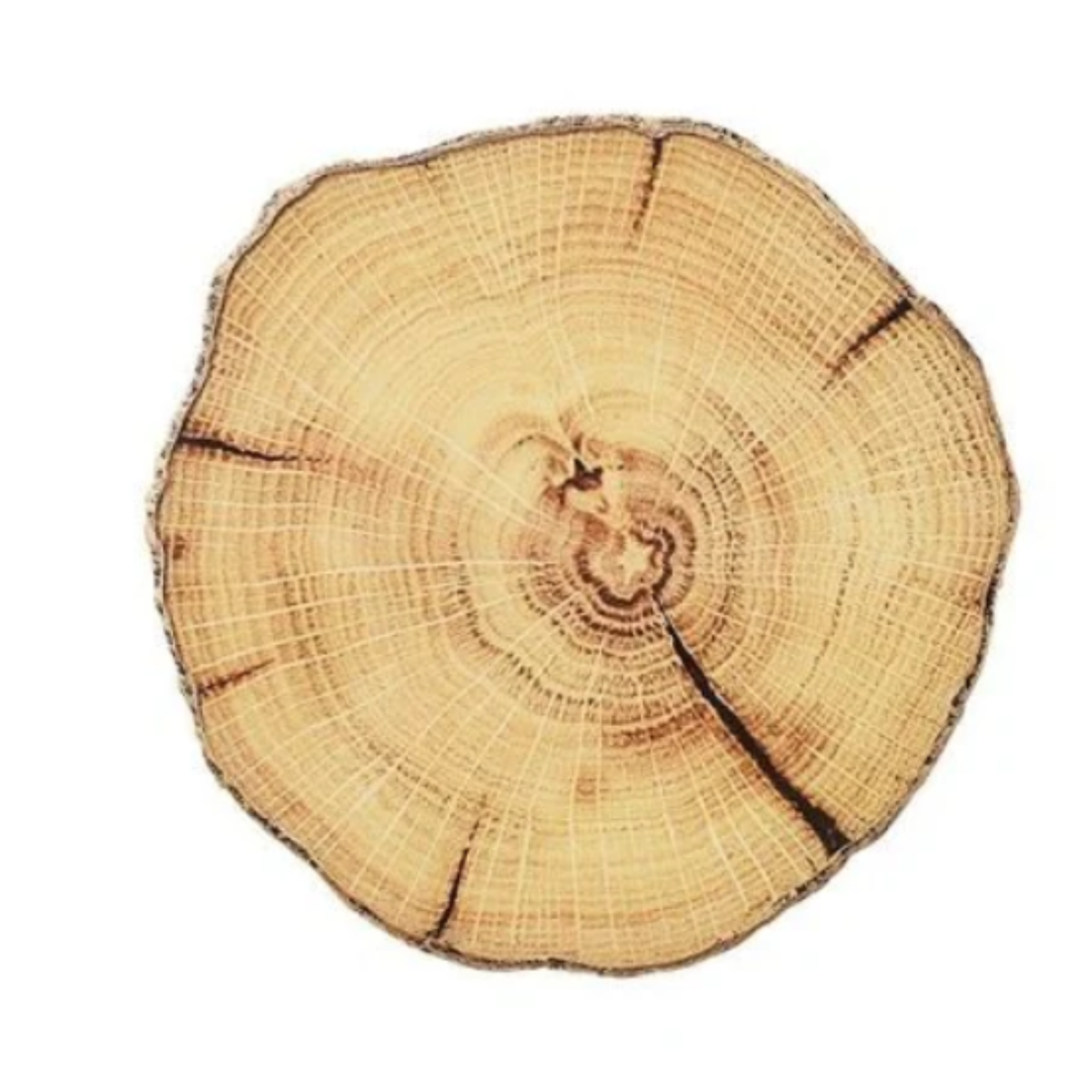 KIM SEYBERT Woodland Coaster Sold Individually